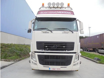 Hladnjača Volvo FH 500 6X2 RETARDER: slika 3