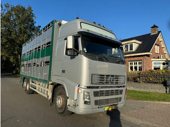 Kamion za prevoz stoke VOLVO FH12 500